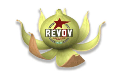 How to choose a quality storage battery: Just think of an onion